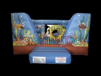 Sea World Bouncer